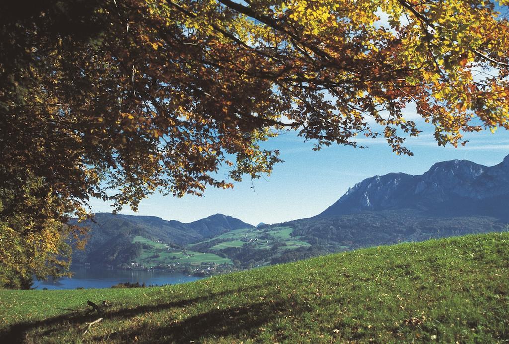 Haus Gruber Ξενοδοχείο Attersee Εξωτερικό φωτογραφία