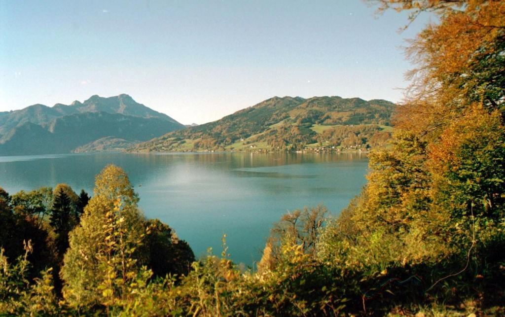 Haus Gruber Ξενοδοχείο Attersee Εξωτερικό φωτογραφία